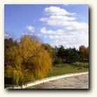 [Click to enlarge image]