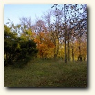 [Click to enlarge image]