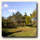 [Click to enlarge image]