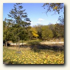 [Click to enlarge image]