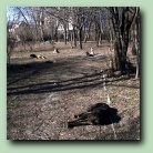 [Click to enlarge image]