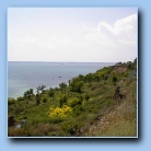 [Click to enlarge image]